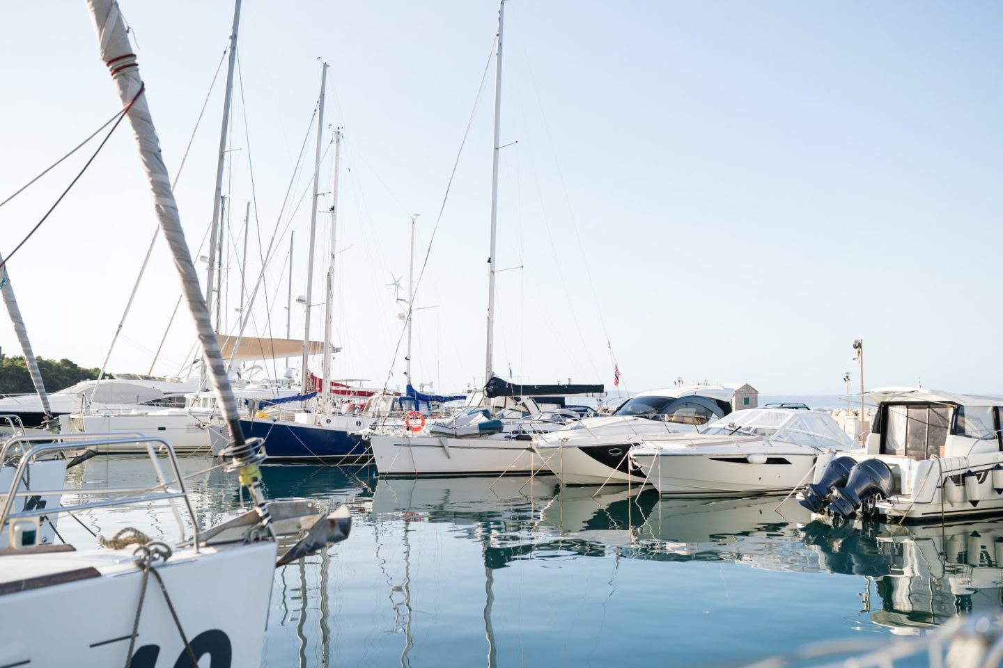 Picture of luxury white yachts in harbor